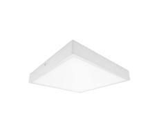 61003665 - LED Plafon łazienkowy EGON LED/30W/230V IP44 3000K