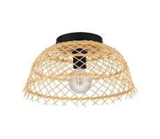 Eglo 43831 - Plafon AUSNBY 1xE27/40W/230V