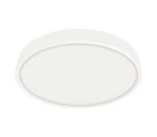 Emithor 49037 - LED Łazienkowe oświetlenie sufitowe LENYS LED/24W/230V IP44