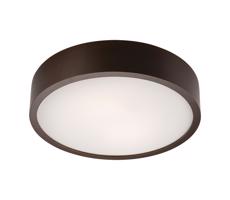 Lampa sufitowa 2xE27/60W/230V - certyfikat FSC
