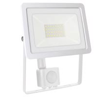 LED Naświetlacz zewnętrzny z czujnikiem NOCTIS LUX 2 LED/30W/230V 4000K IP44 biały