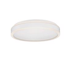 LED Plafon LED/24W/230V 4000K biały