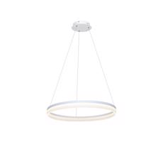 LED Żyrandol na drucie RING LED/36W/230V