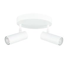Oświetlenie punktowe ROSETTE 2xGU10/7W/230V białe