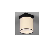Plafon KADA 1xE27/60W/230V