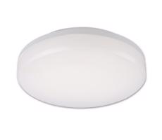 Top Light Leon K - LED Plafon zewnętrzny LED/15W/230V IP44